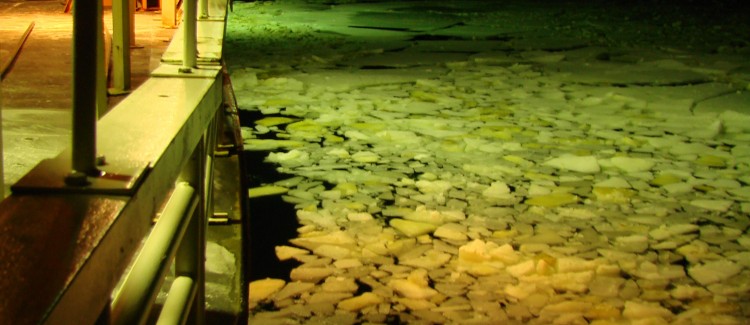 Sea ice Bering shelf aboard USCG Healy